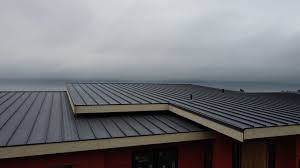 Best Steel Roofing  in Durant, MS